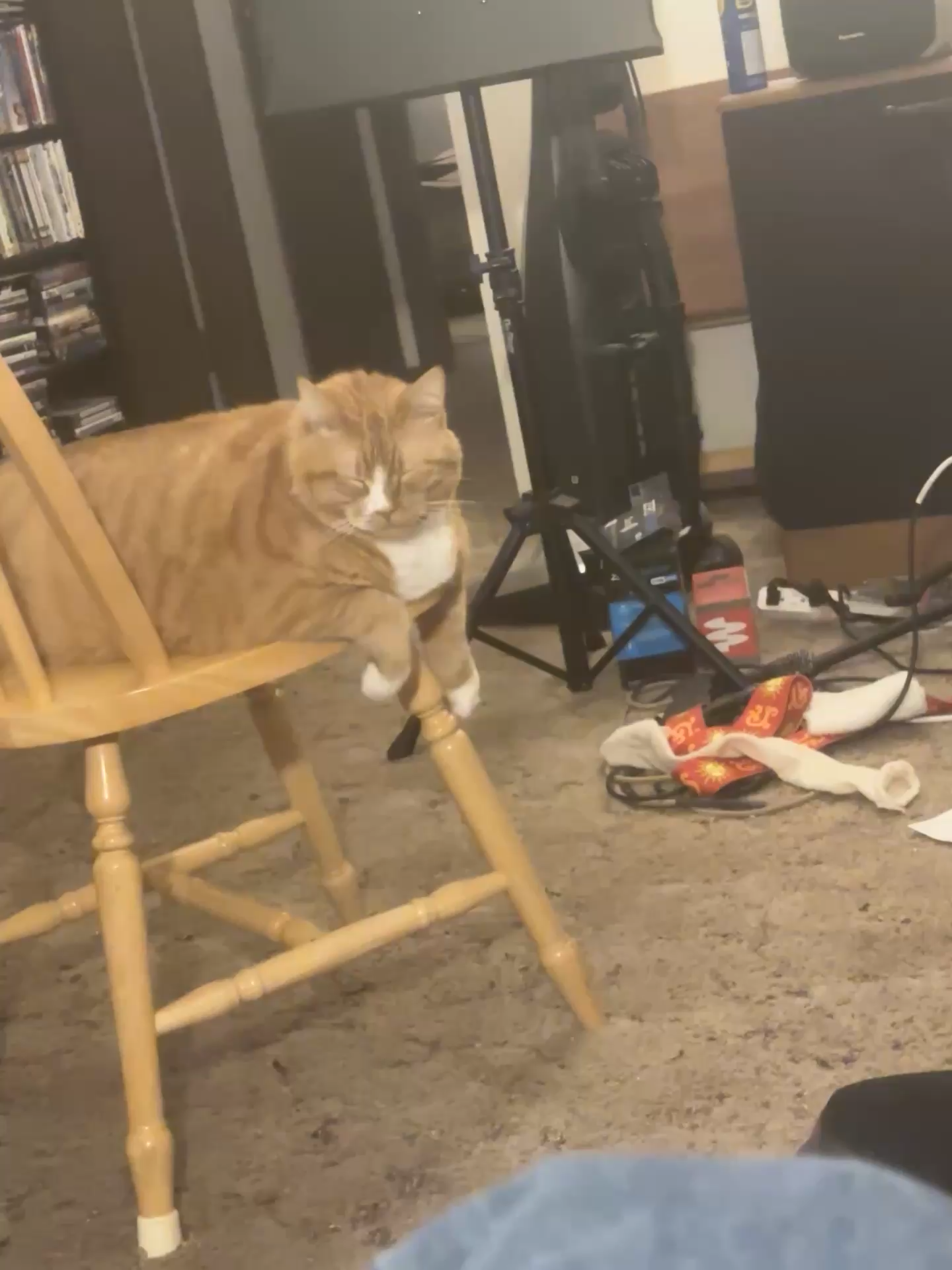 Gus falling asleep